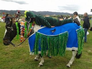 Pony Planking