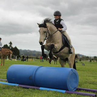 amy on bob